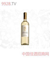 啤酒批發(fā)與供應(yīng) 一站式采購(gòu)指南